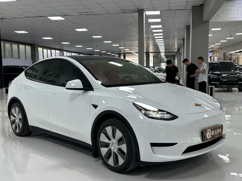 Tesla Model Y — фото 8