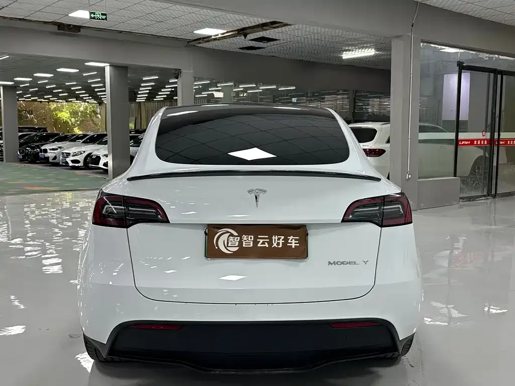 Tesla Model Y — фото 5