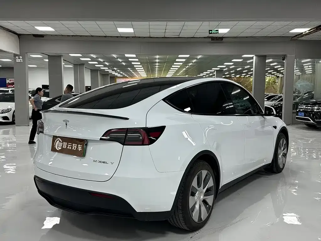 Tesla Model Y — фото 9