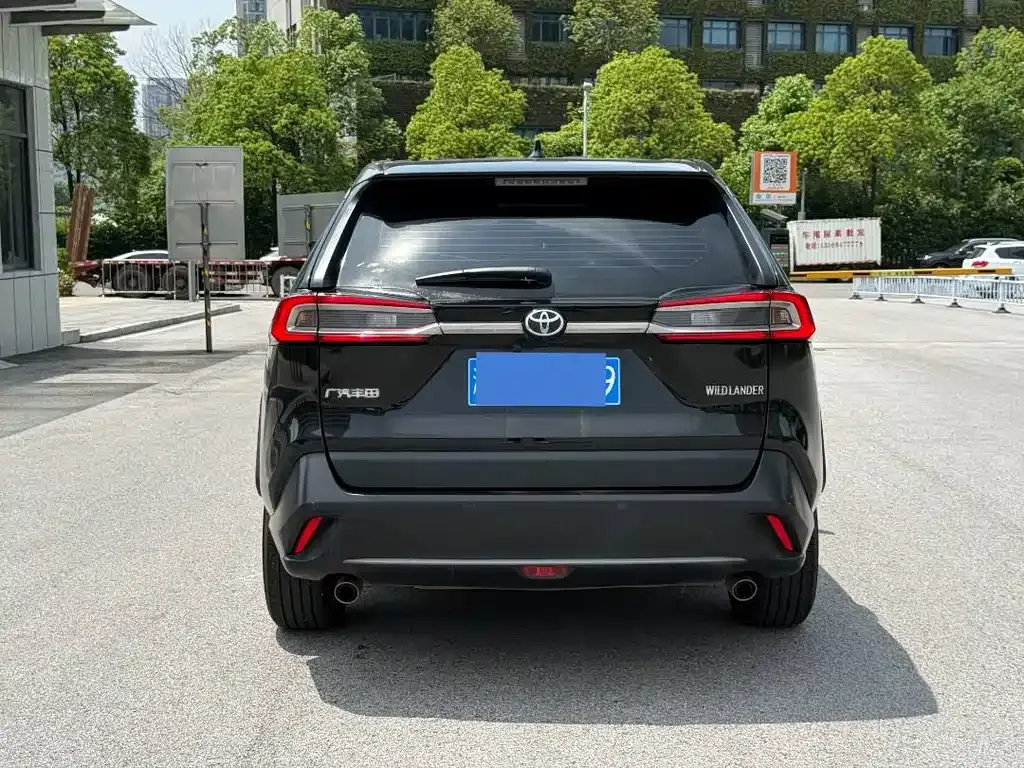 Toyota Wildlander 2023 из CN, фото 10