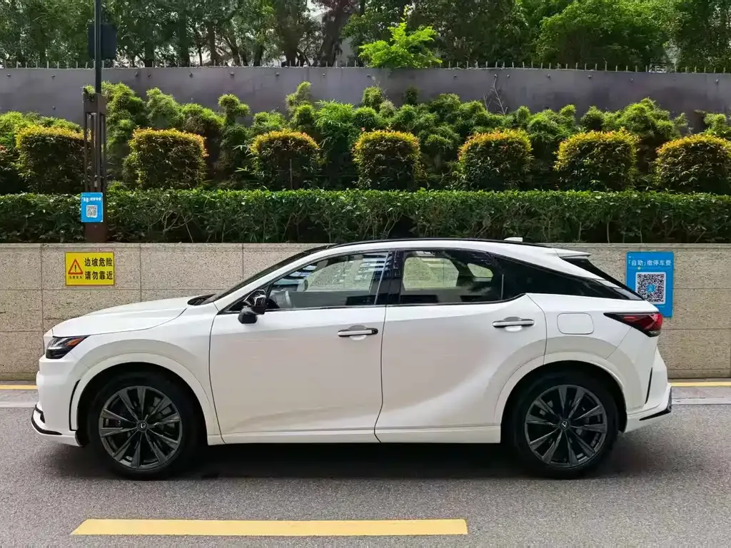 Lexus RX — фото 9