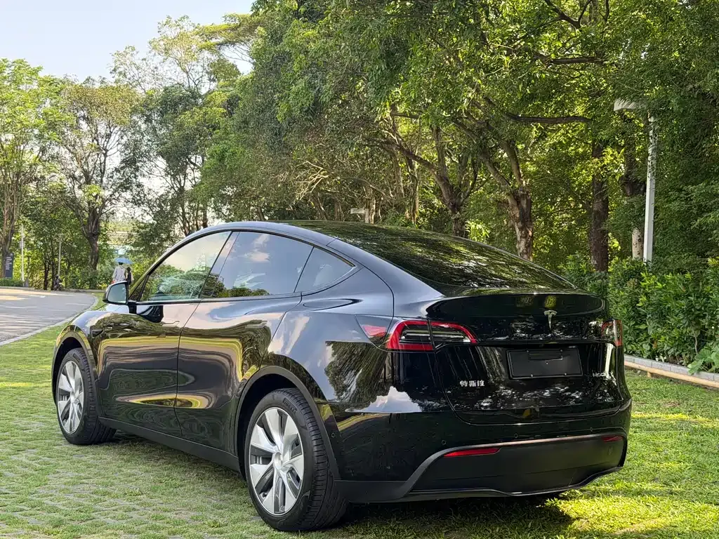 Tesla Model Y — фото 6