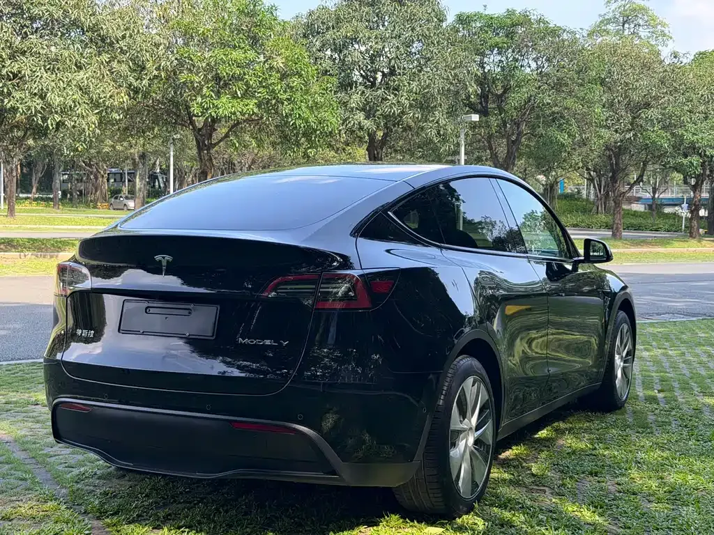 Tesla Model Y — фото 10