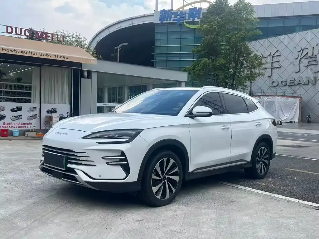 BYD PLUS New Energy — фото 3