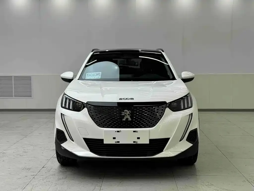 Peugeot 2008 2021 из CN, фото 3