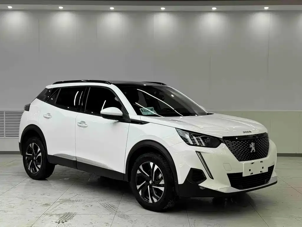 Peugeot 2008 2021 из CN, фото 4