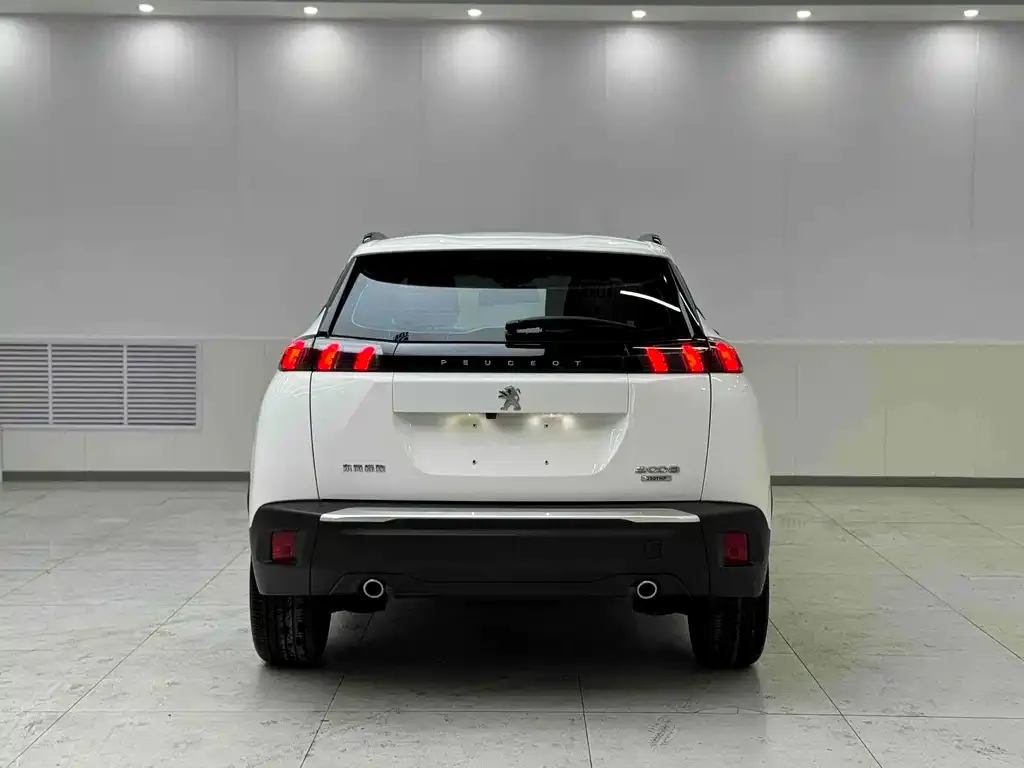 Peugeot 2008 2021 из CN, фото 2