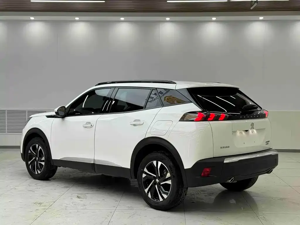 Peugeot 2008 2021 из CN, фото 7