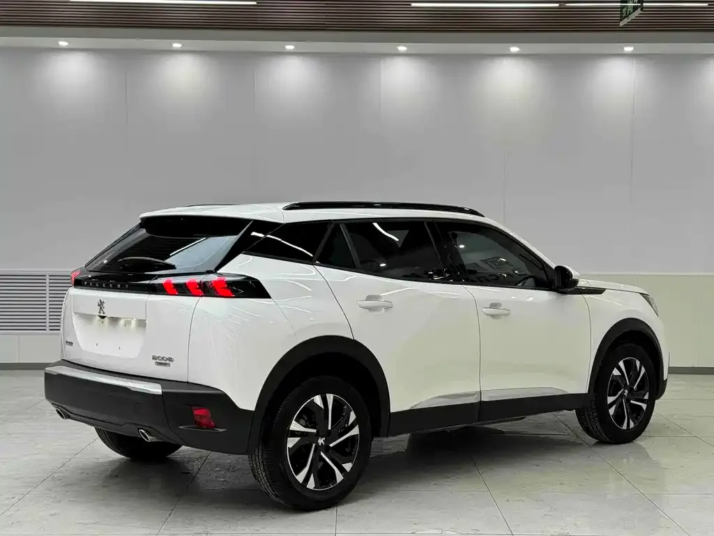 Peugeot 2008 2021 из CN, фото 6