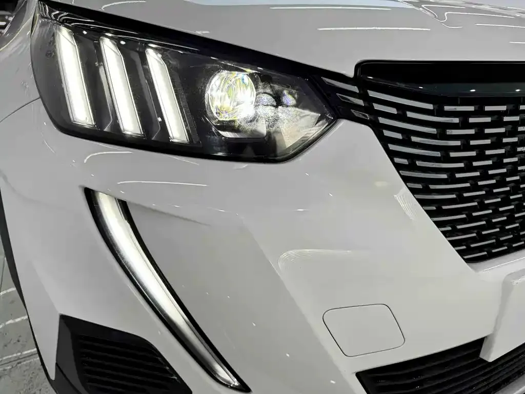 Peugeot 2008 2021 из CN, фото 9