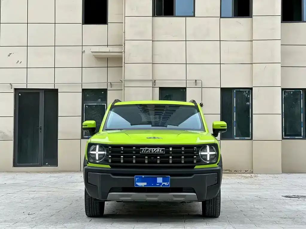 Haval Cool Dog 2022 из CN, фото 2
