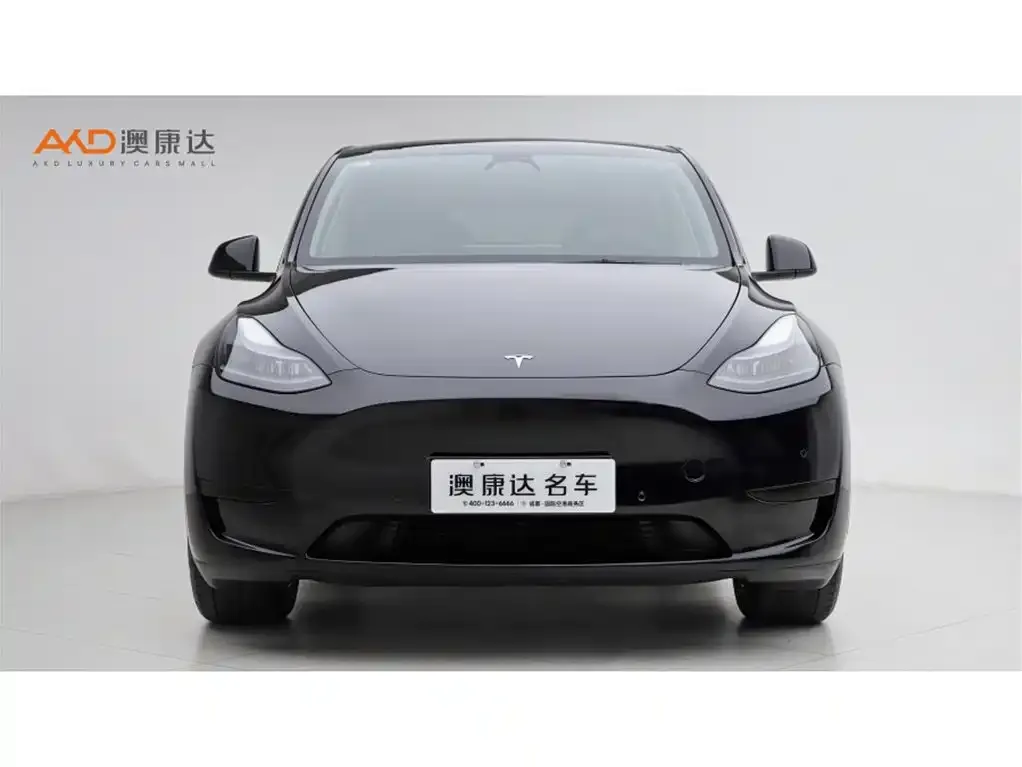 Tesla Model Y — фото 9