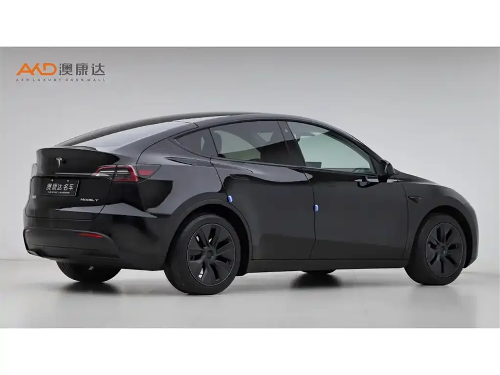 Tesla Model Y — фото 4