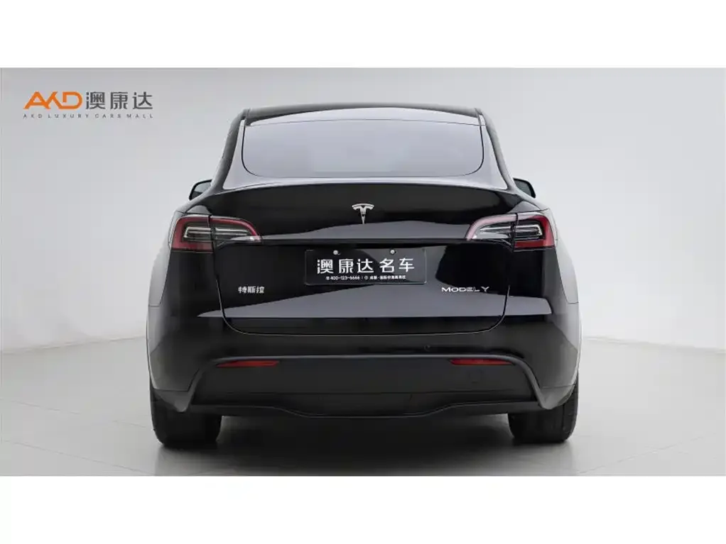 Tesla Model Y — фото 5