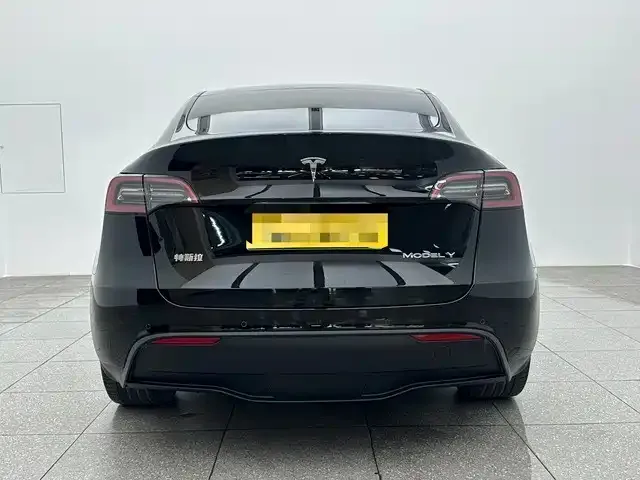 Tesla Model Y — фото 10