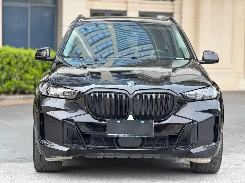 BMW X5 2024 из CN, фото 6