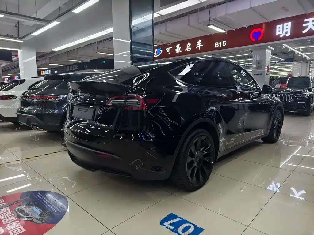 Tesla Model Y — фото 10