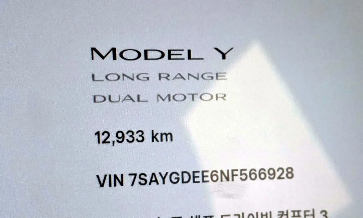 Tesla Model Y — фото 8