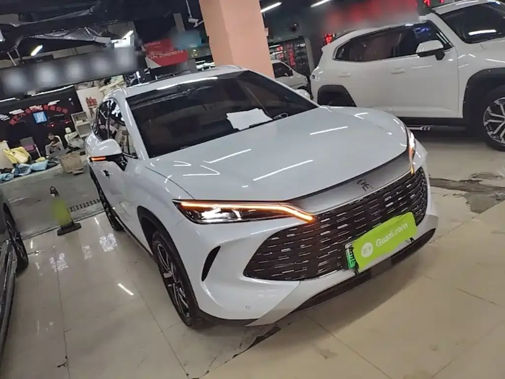 BYD L DM-i — фото 10