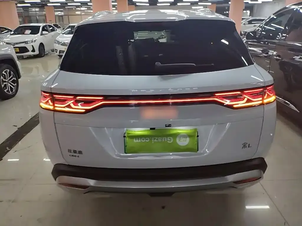 BYD L DM-i — фото 7