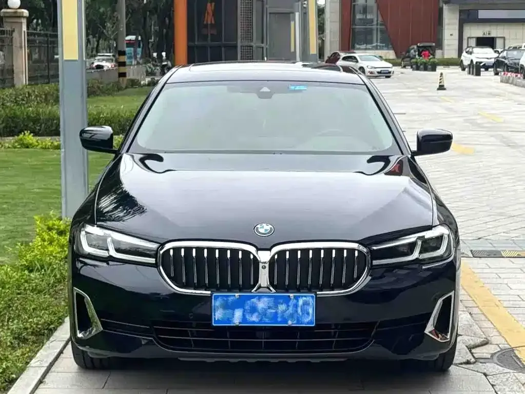 BMW 5 Series 2021 из CN, фото 10