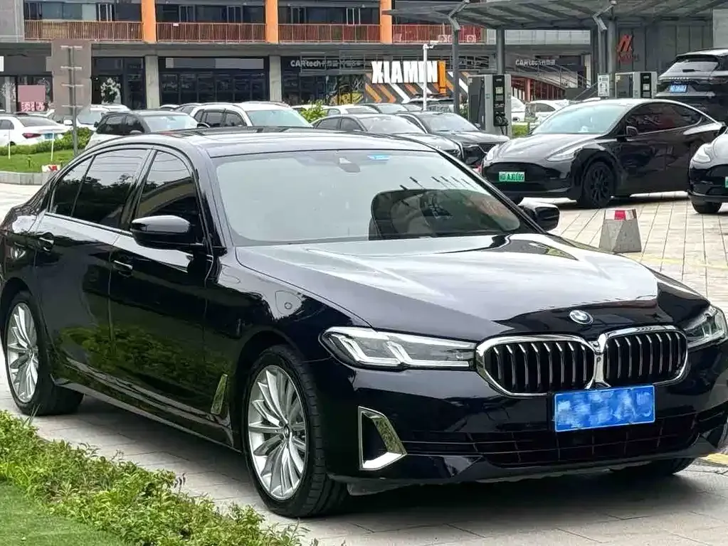 BMW 5 Series 2021 из CN, фото 7