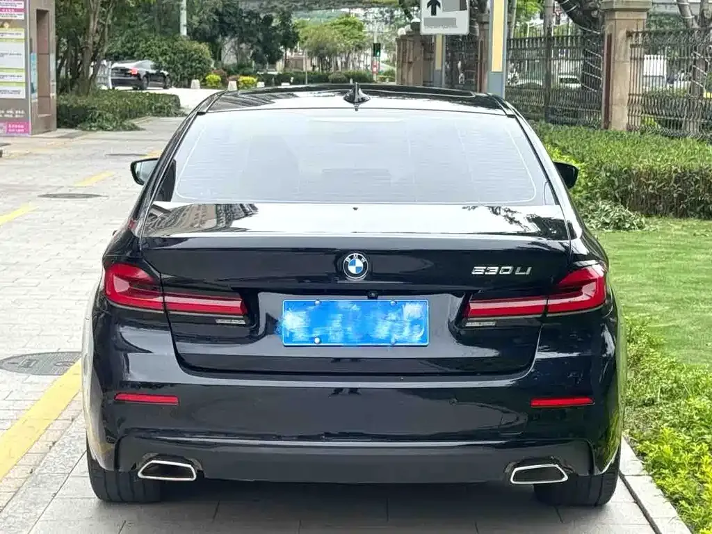 BMW 5 Series 2021 из CN, фото 9