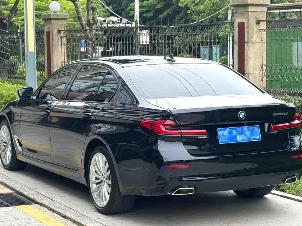 BMW 5 Series 2021 из CN, фото 6