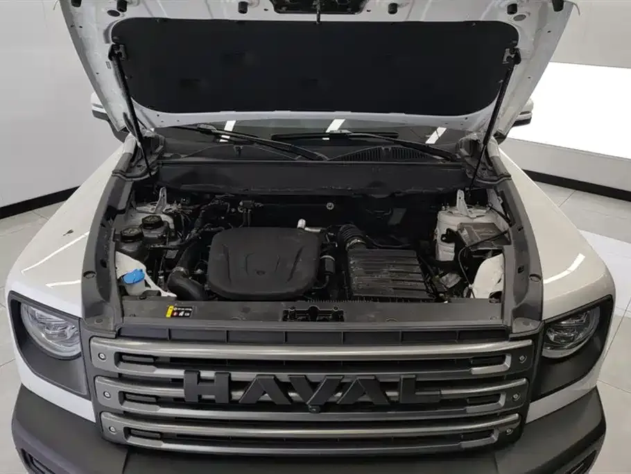 Haval Menglong New Energy 2024 из CN, фото 4