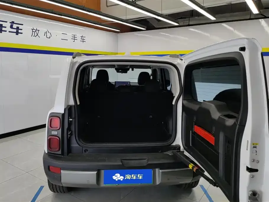 Haval Menglong New Energy 2024 из CN, фото 8
