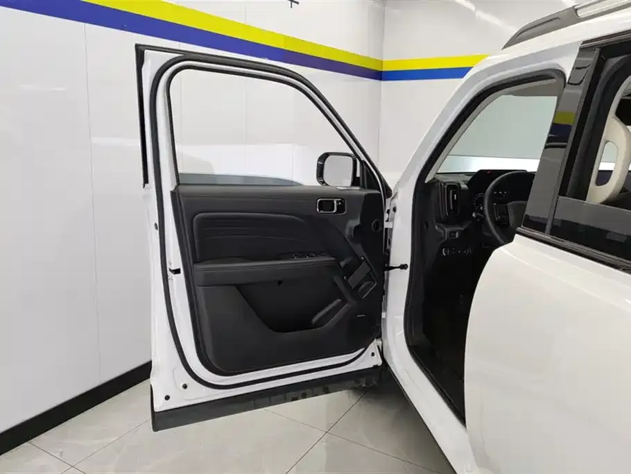 Haval Menglong New Energy 2024 из CN, фото 10