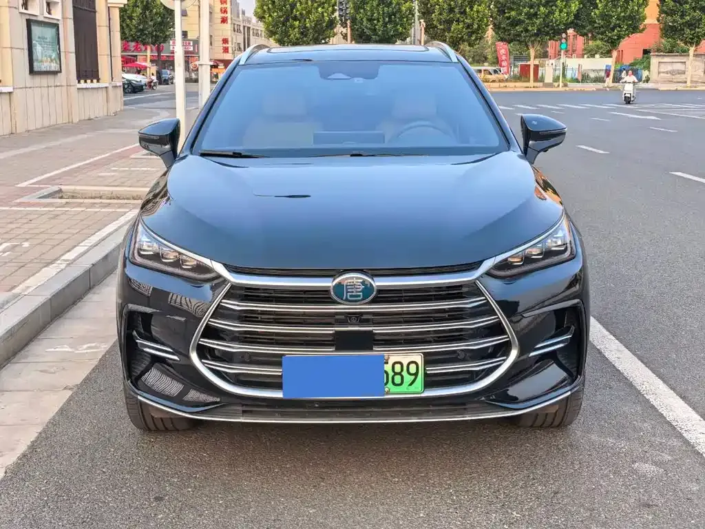 BYD Tang New Energy 2024 из CN, фото 6