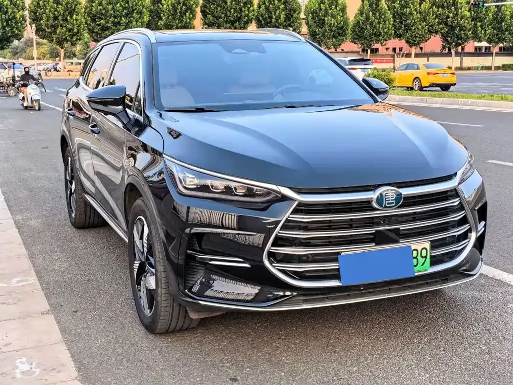 BYD Tang New Energy 2024 из CN, фото 5
