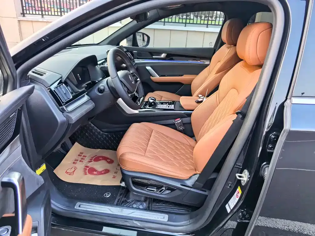 BYD Tang New Energy 2024 из CN, фото 8