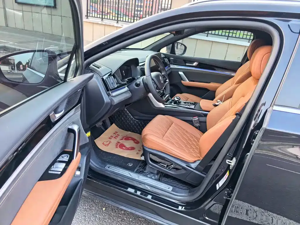 BYD Tang New Energy 2024 из CN, фото 4