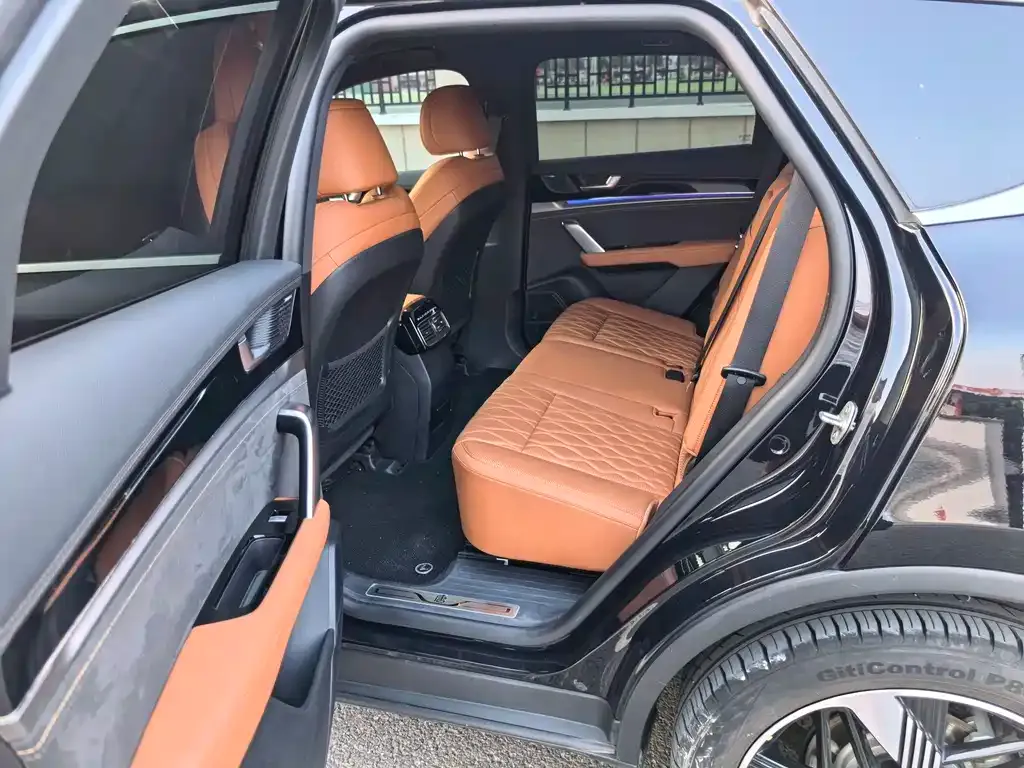 BYD Tang New Energy 2024 из CN, фото 3