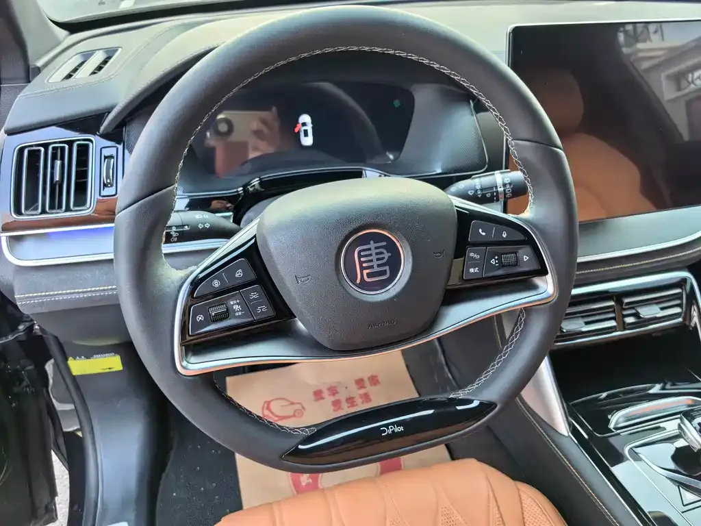 BYD Tang New Energy 2024 из CN, фото 9