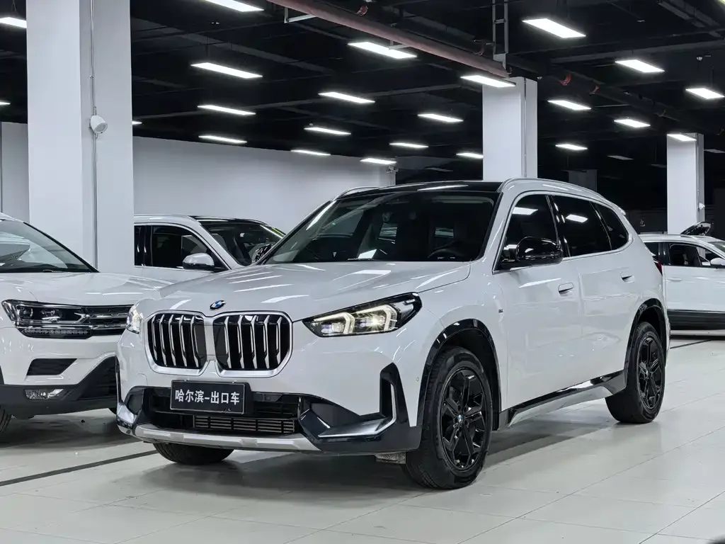 BMW X1 — фото 1