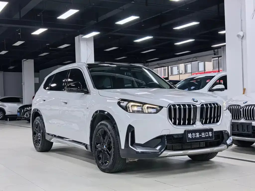 BMW X1 — фото 8