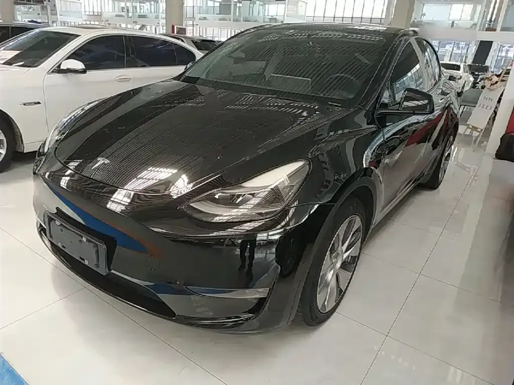 Tesla Model Y — фото 1