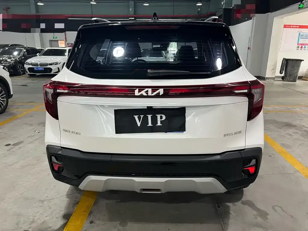 Kia Seltos 2024 из CN, фото 9