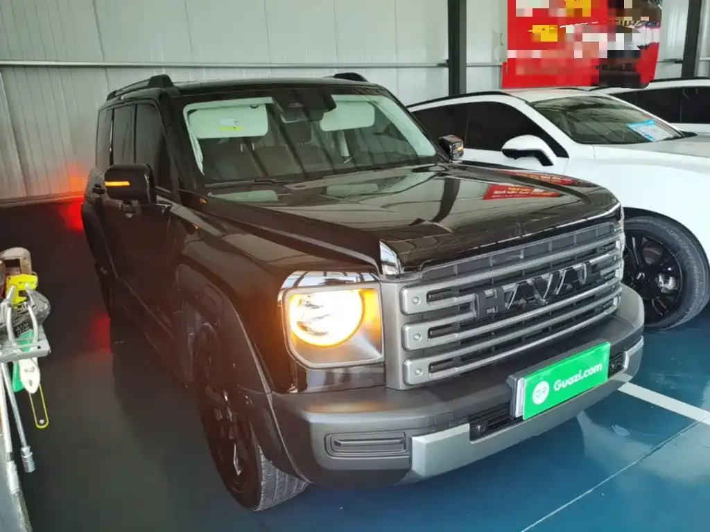 Haval Menglong New Energy 2024 из CN, фото 8