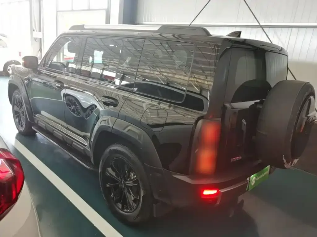 Haval Menglong New Energy 2024 из CN, фото 10