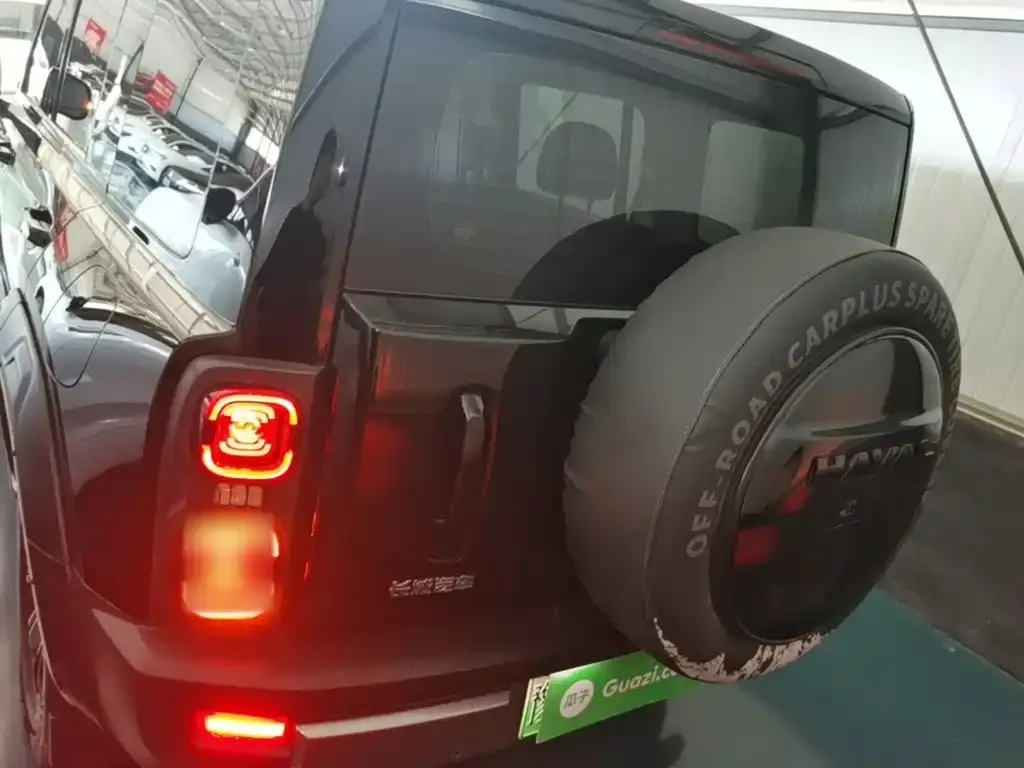 Haval Menglong New Energy 2024 из CN, фото 6