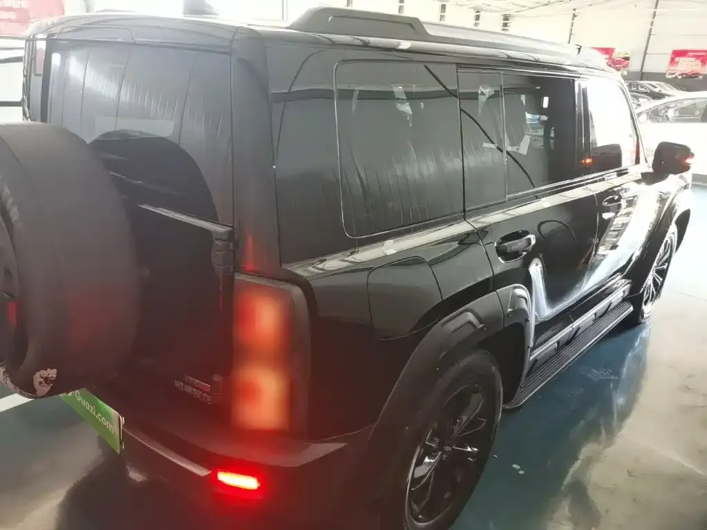 Haval Menglong New Energy 2024 из CN, фото 9