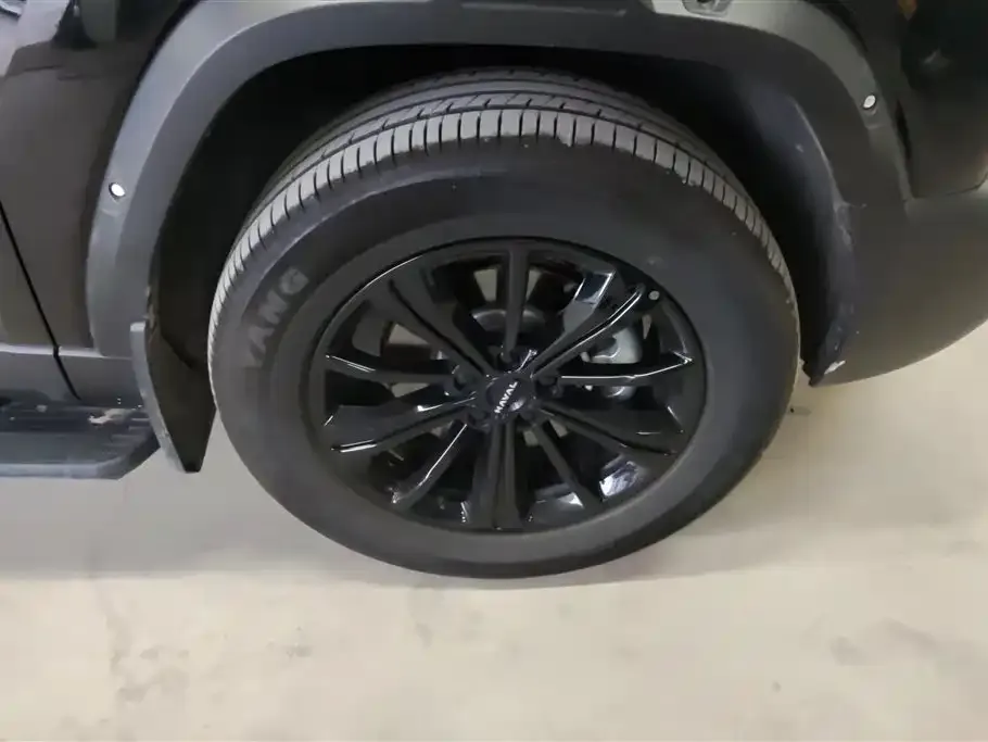 Haval 长城猛龙 PLUS 2025 из CN, фото 2