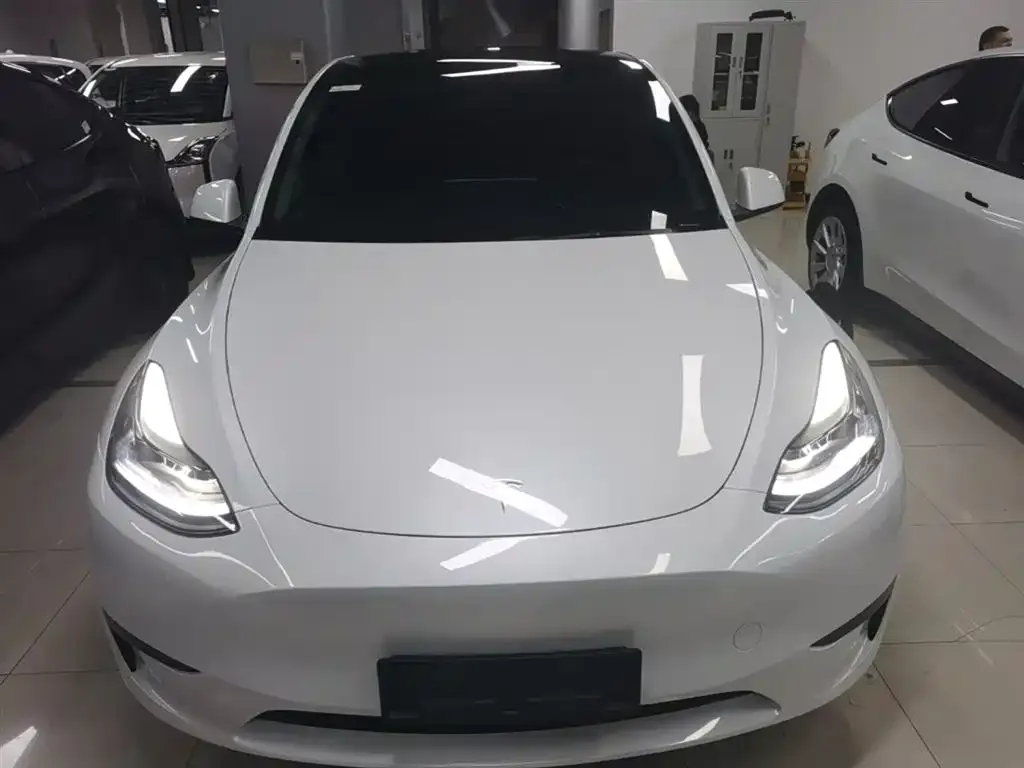Tesla Model Y — фото 3