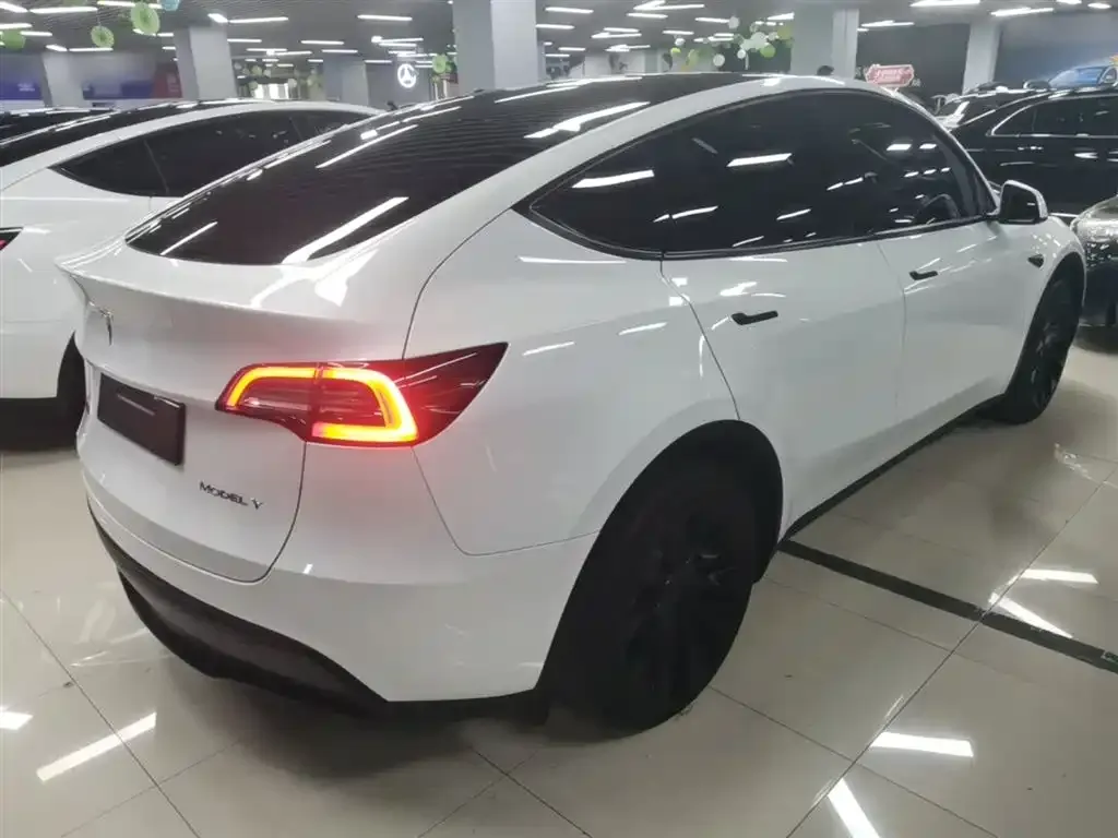 Tesla Model Y — фото 10