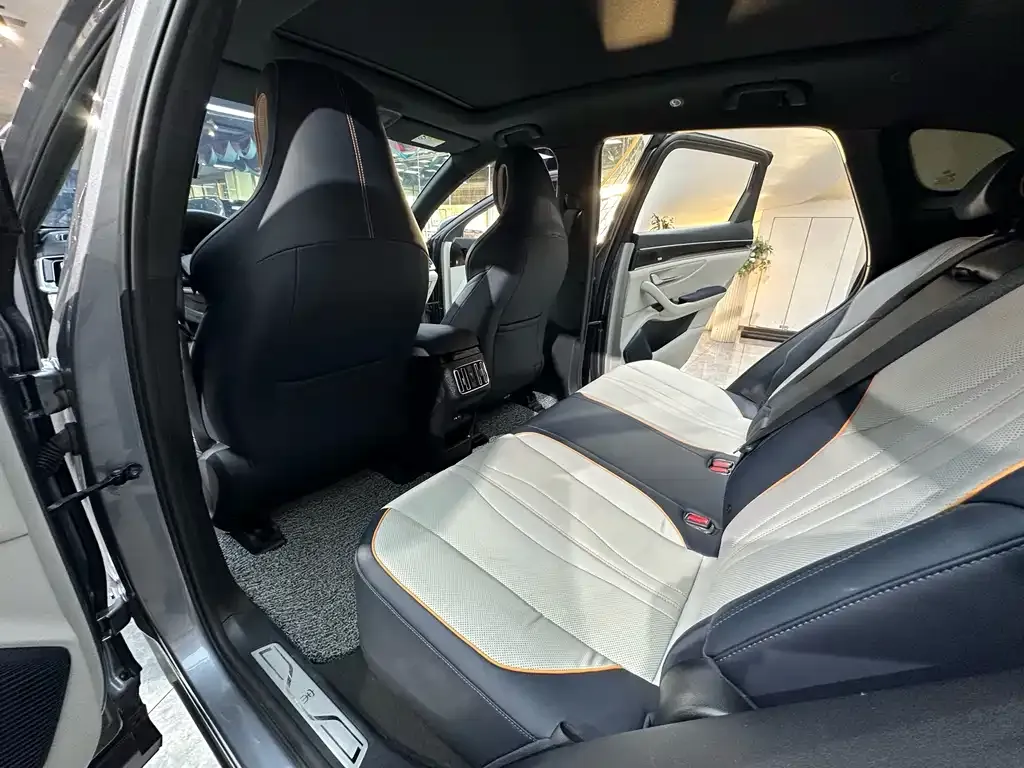 BYD PLUS New Energy 2022 из CN, фото 6