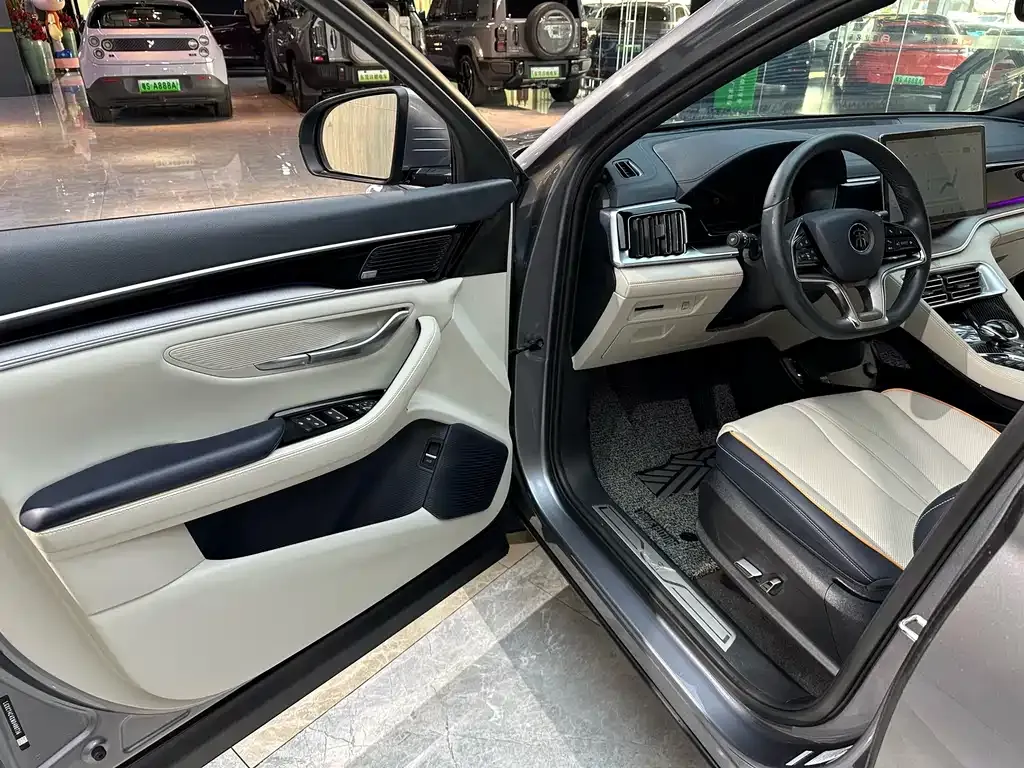 BYD PLUS New Energy 2022 из CN, фото 5